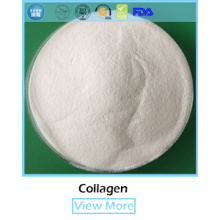 hidrolizado de colágeno de cerdo proporcionado por la fabricación de colágeno